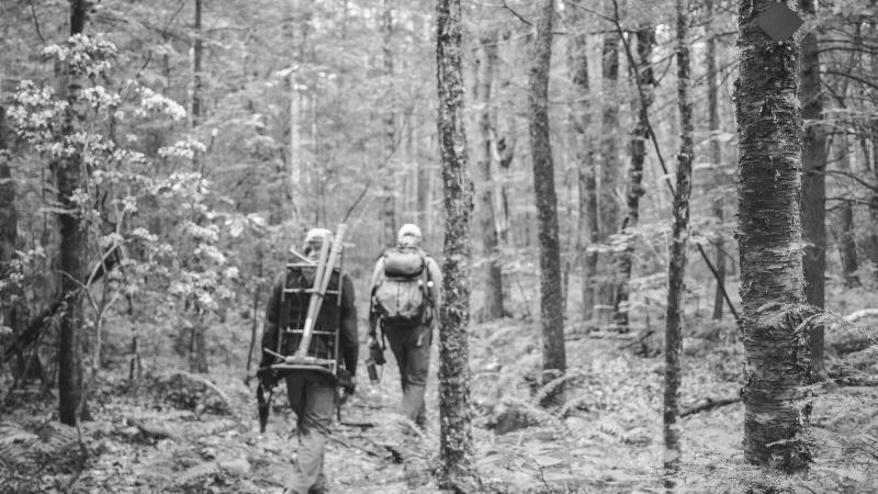 Hiking with tools on trail in forest