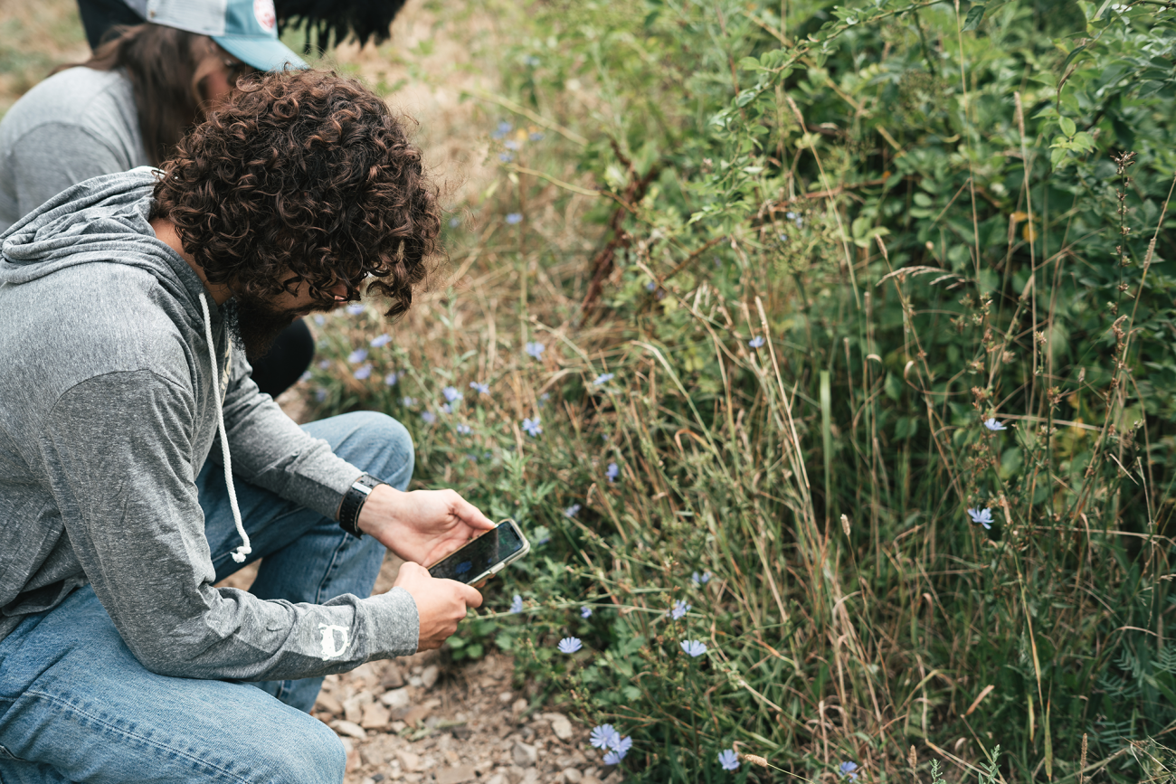 Nature Groupie interns use Seek